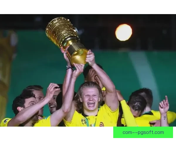 多特蒙德计划在夏季转会窗口引进强力中后卫以增强防线实力